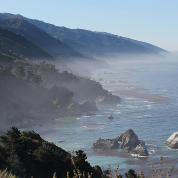 Meet your Posher, Lisa kelley - Picture 1 of 1